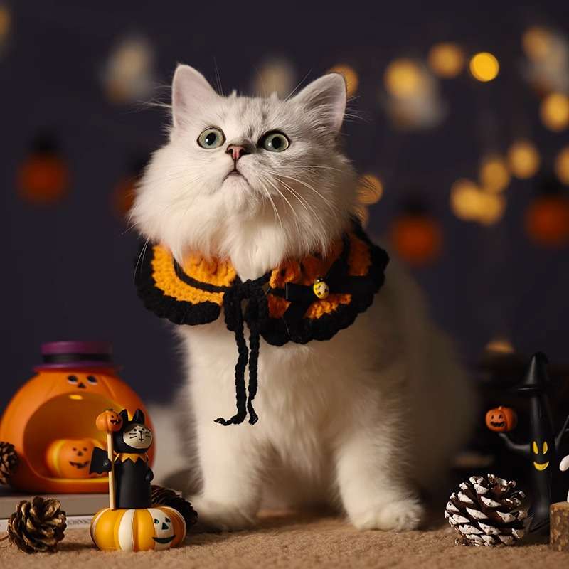 猫服  コスプレ | ハロウィン猫用コスチュームセット