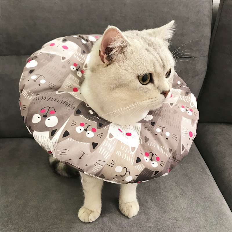 猫服 猫 エリザベスカラー | 猫用かわいいイラスト柄エリザベスカラー