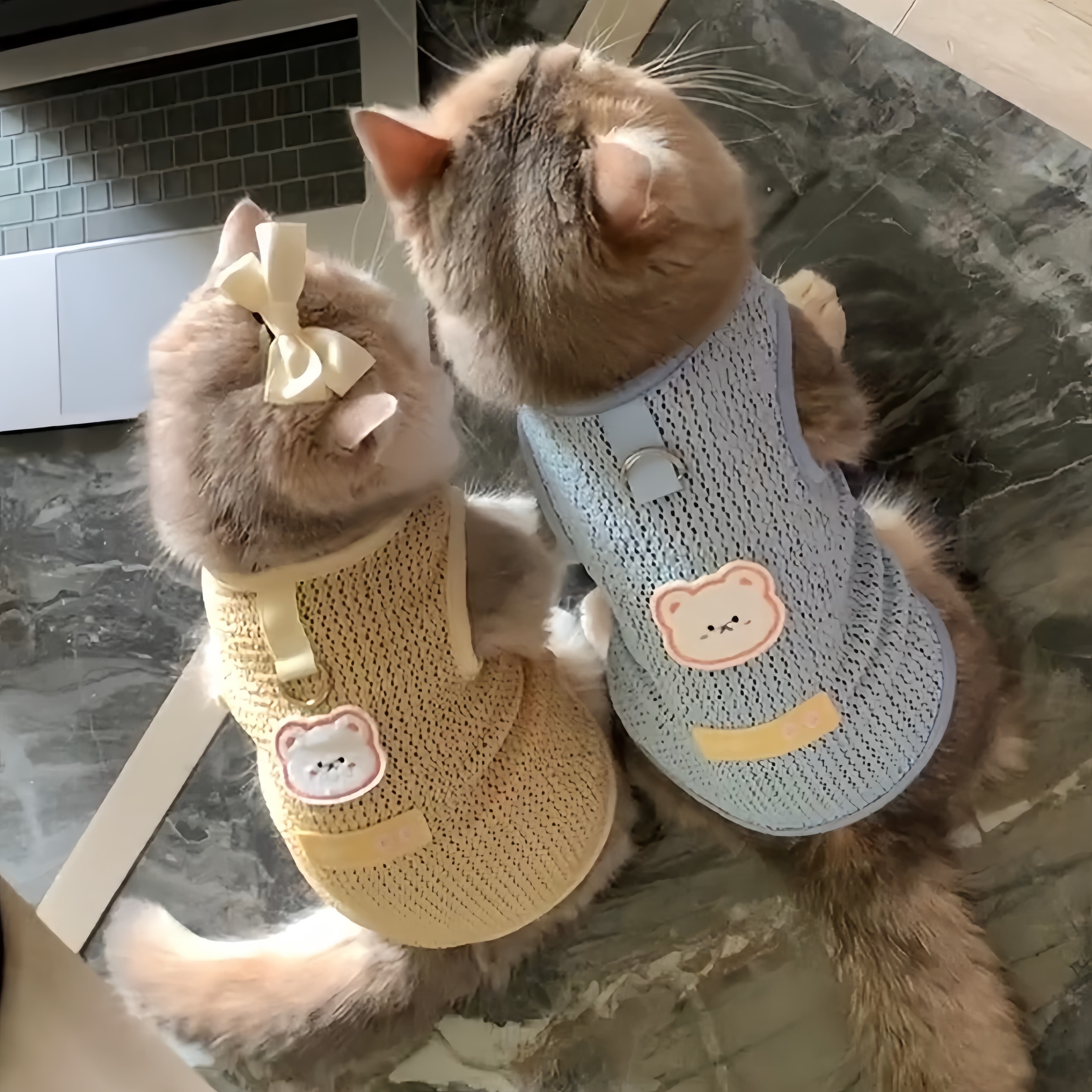 猫服  くまちゃんメッシュベスト