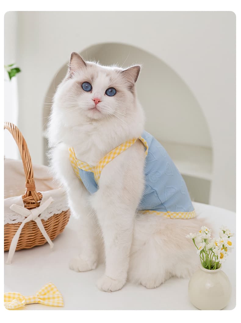 猫服  洋服 | ギンガムチェックリボン付き春待ちベスト