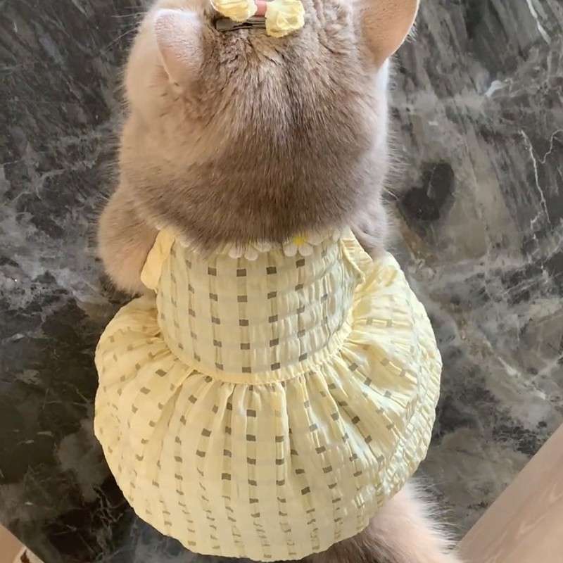 猫服  洋服 | ふわふわドレス猫用ワンピース