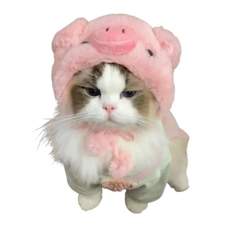 猫服  コスプレ | もこもこブタちゃん猫用コスチューム