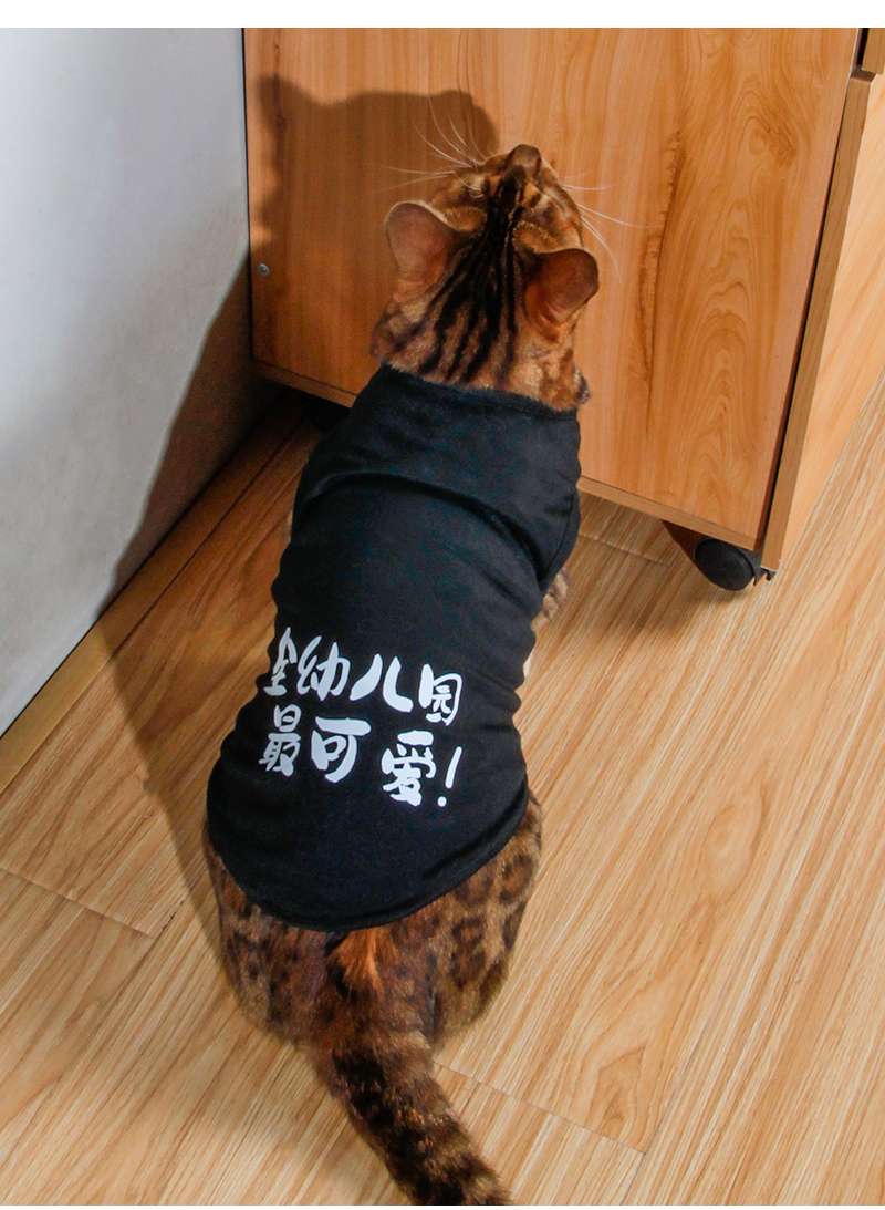 猫服  洋服 | ペット用おしゃれTシャツ