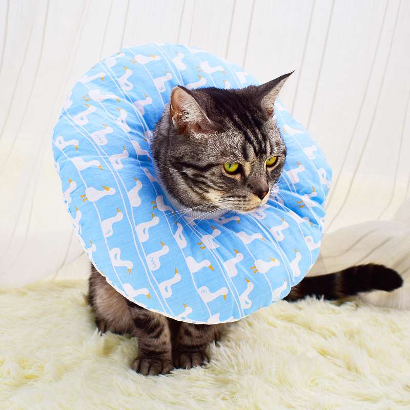 猫服 猫 エリザベスカラー | ふわもこペット用プリントエリザベスカラー