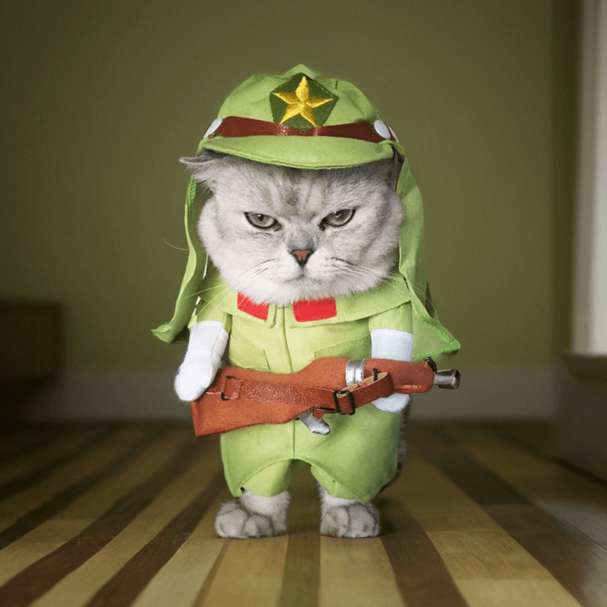 猫服  コスプレ | 猫用職業コスチューム3点セット