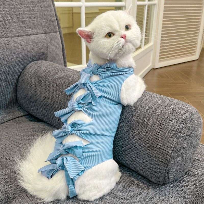 猫服  術後服 | リボンデザイン猫用術後服