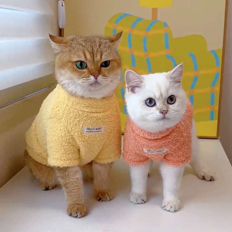 猫服  防寒服 | もふもふねこちゃんウェア