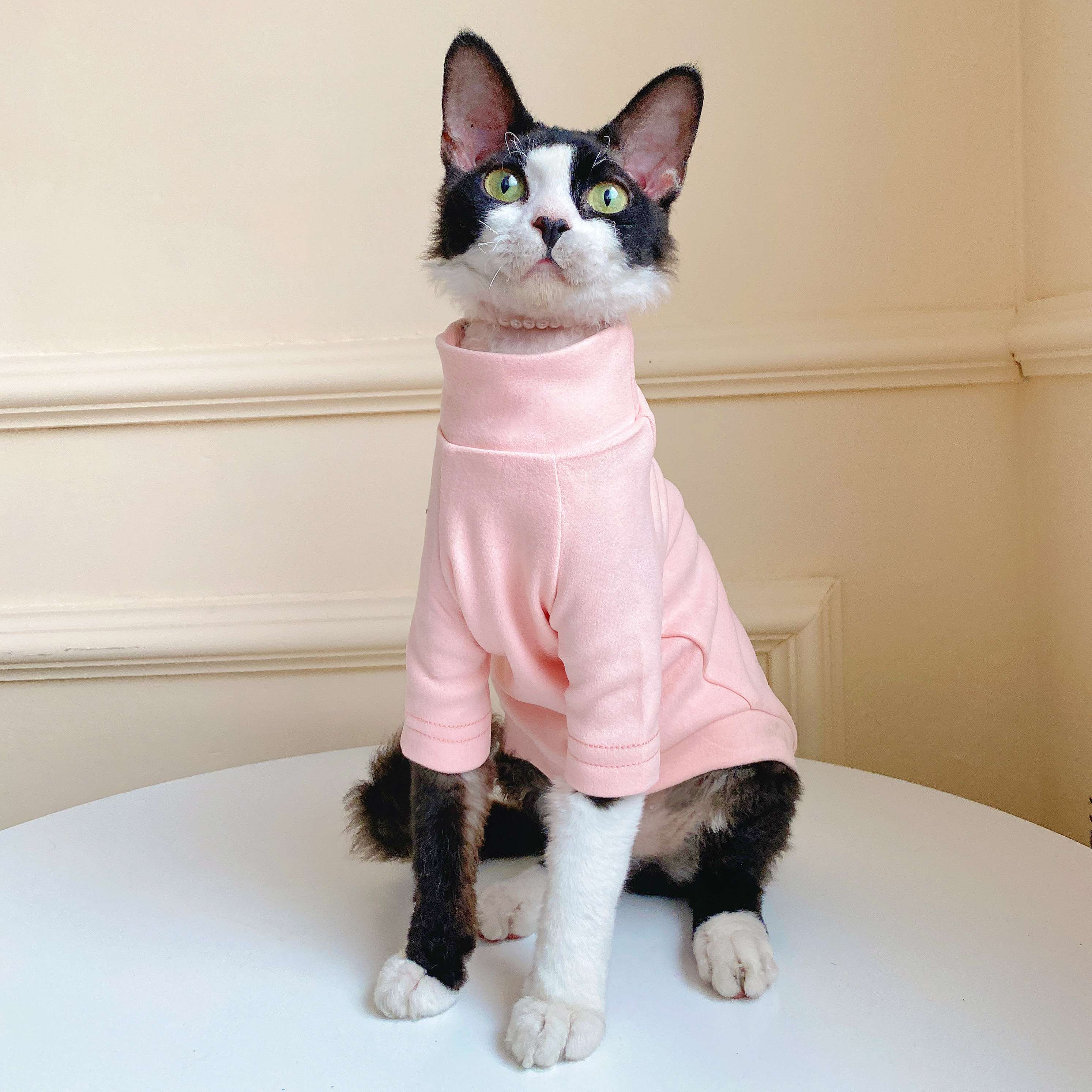 猫服  術後服 | にゃんこの優しい術後ウェア