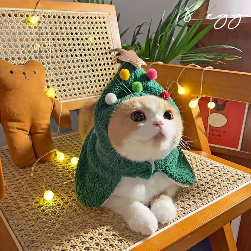 猫服  コスプレ | ペット用ホリデーコスチューム3点セット