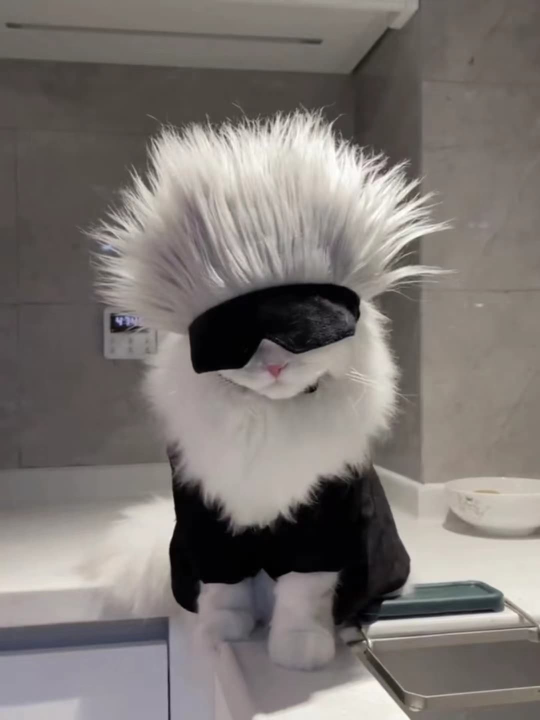 猫服  未来型サングラス忍者セット