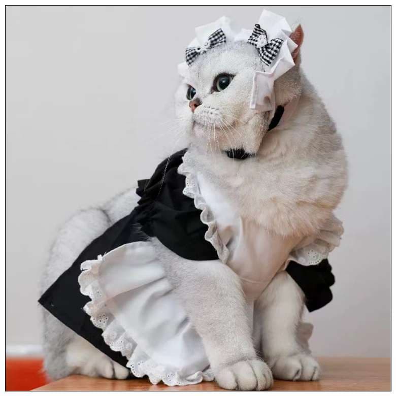 猫服  コスプレ | メイド風フリルドレス猫用コスチューム