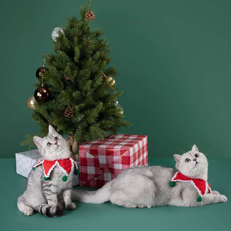 猫服  首輪 | ねこさんのクリスマスえりまき