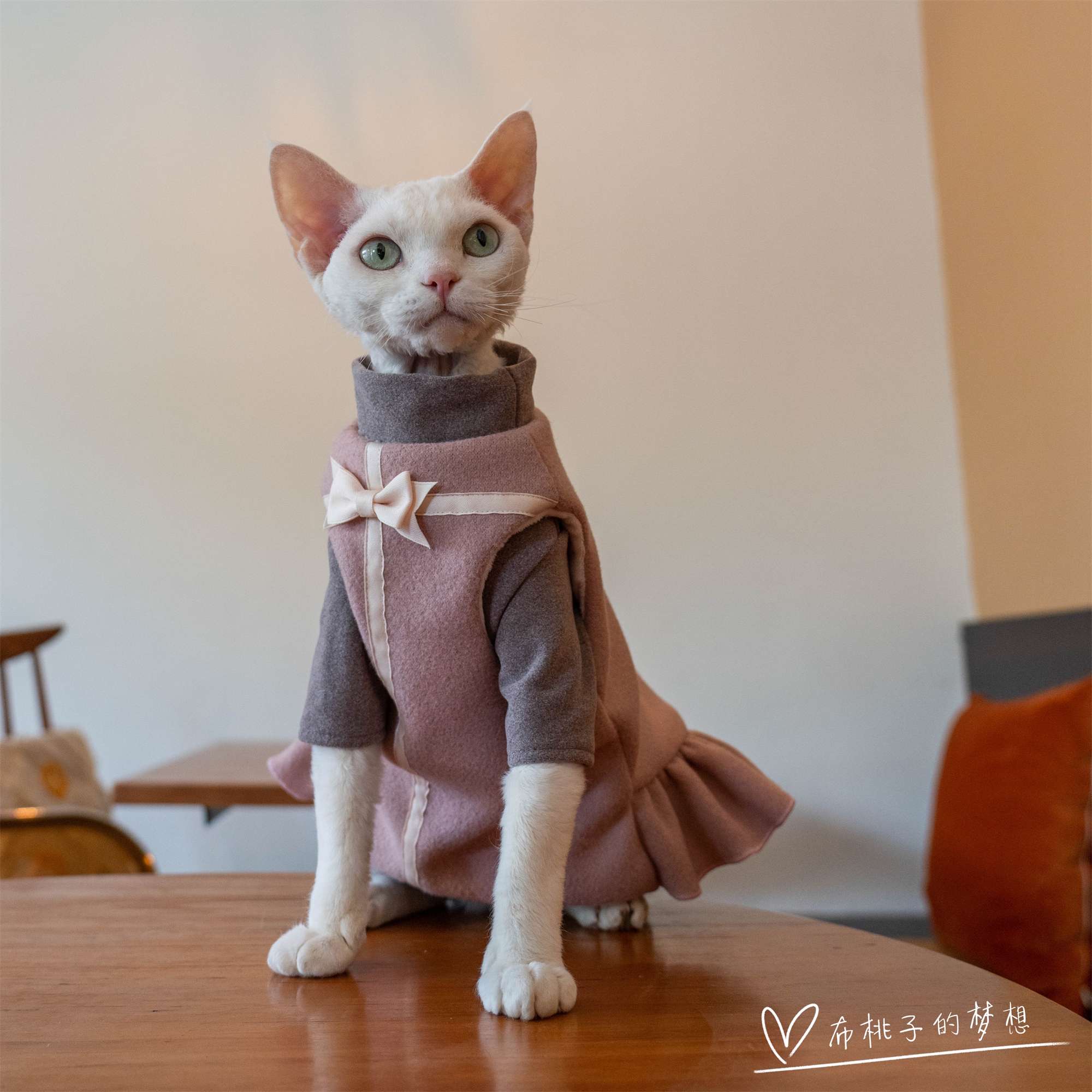 猫服  洋服 | ふわもこ猫ちゃんドレスコート