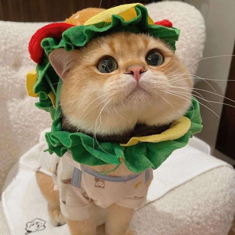 猫服  帽子 | ねこちゃん用ハンバーガーコスプレ