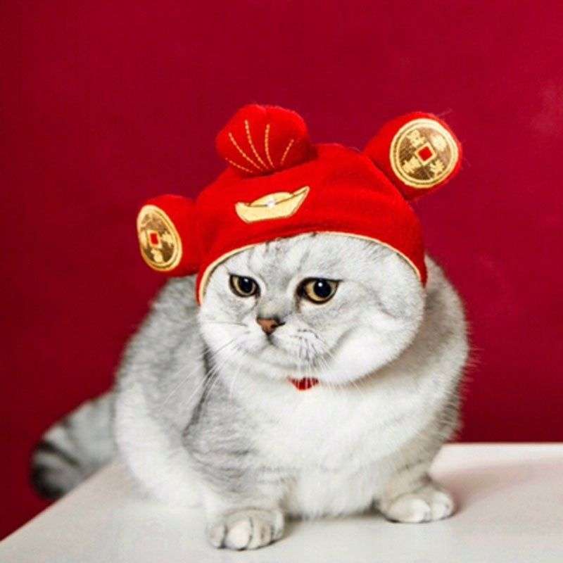 猫服  帽子 | 招福ネコちゃん耳付き赤い帽子