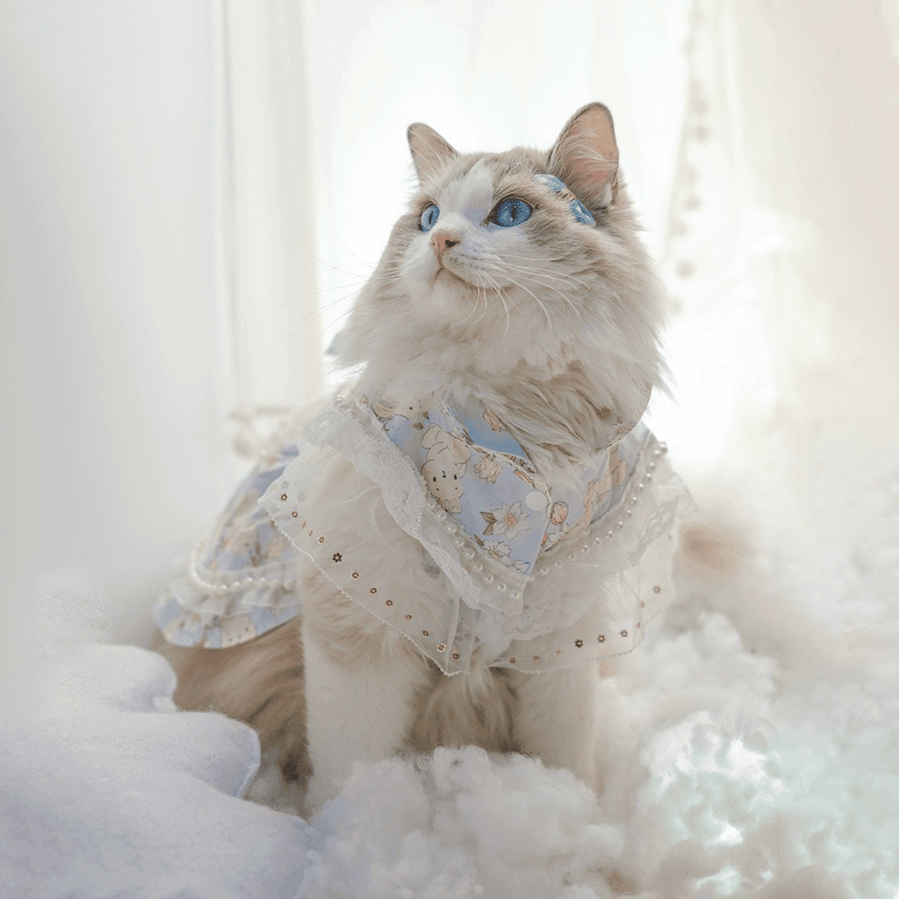 猫服  洋服 | ふわふわレースの猫用プリンセスドレス
