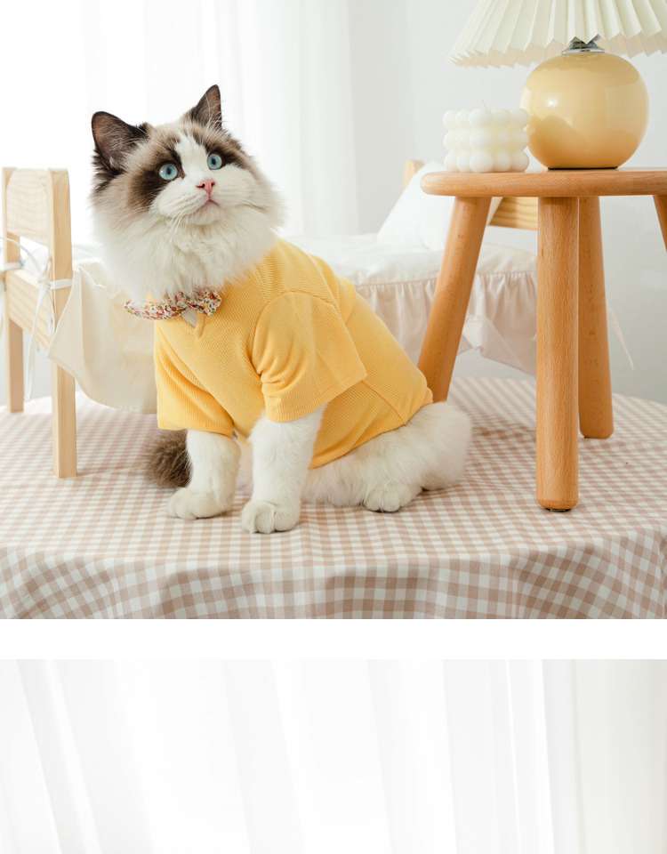 猫服  洋服 | ふわもこ猫ちゃんの季節のお洒落トップス