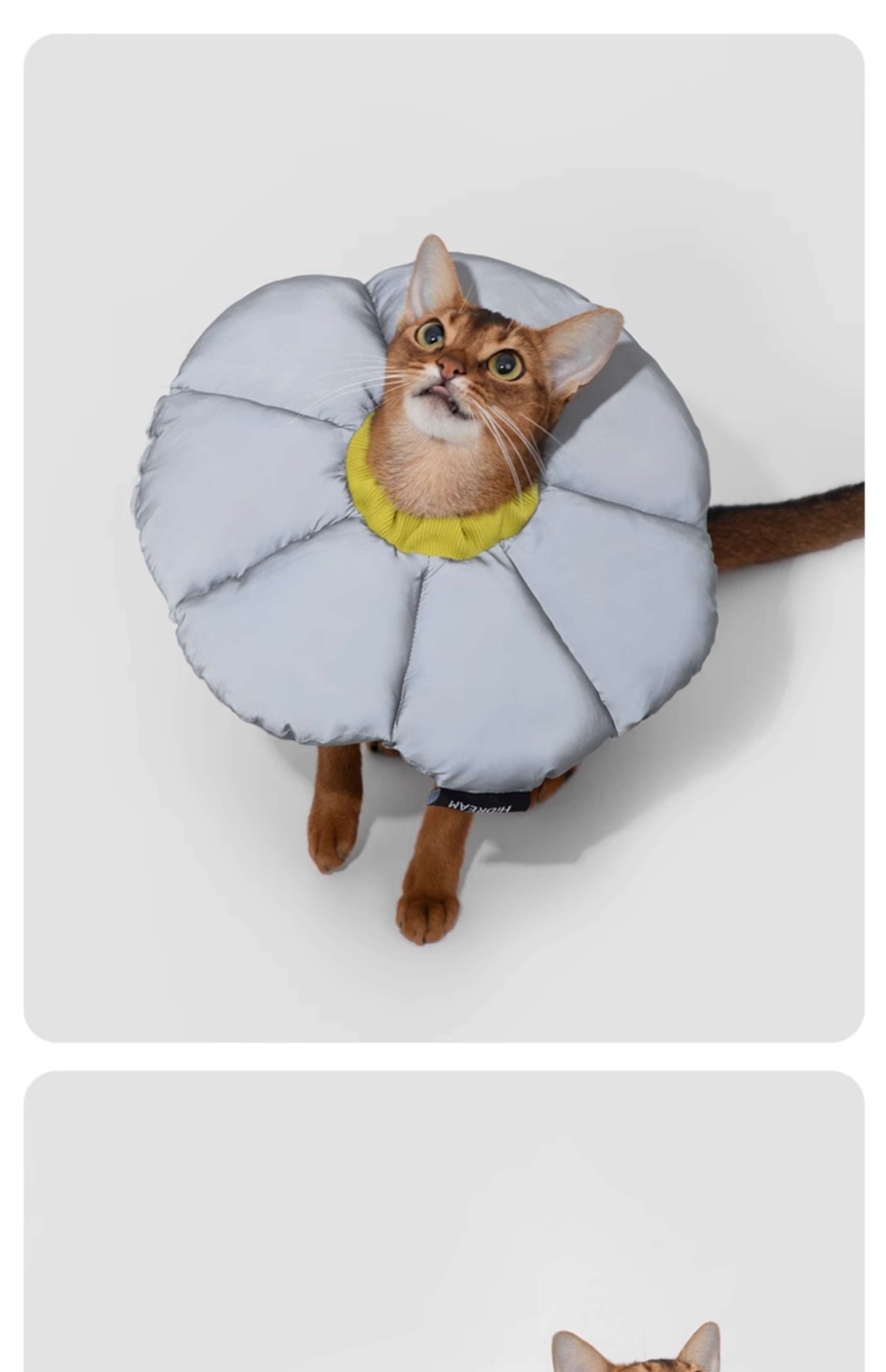 猫服 猫 エリザベスカラー | ふわもこ花びらエリザベスカラー