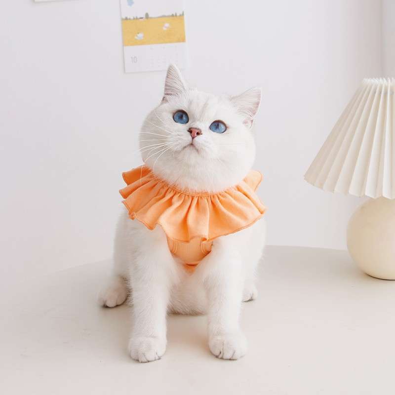 猫服  術後服 | ふんわりフリル付き猫用術後服