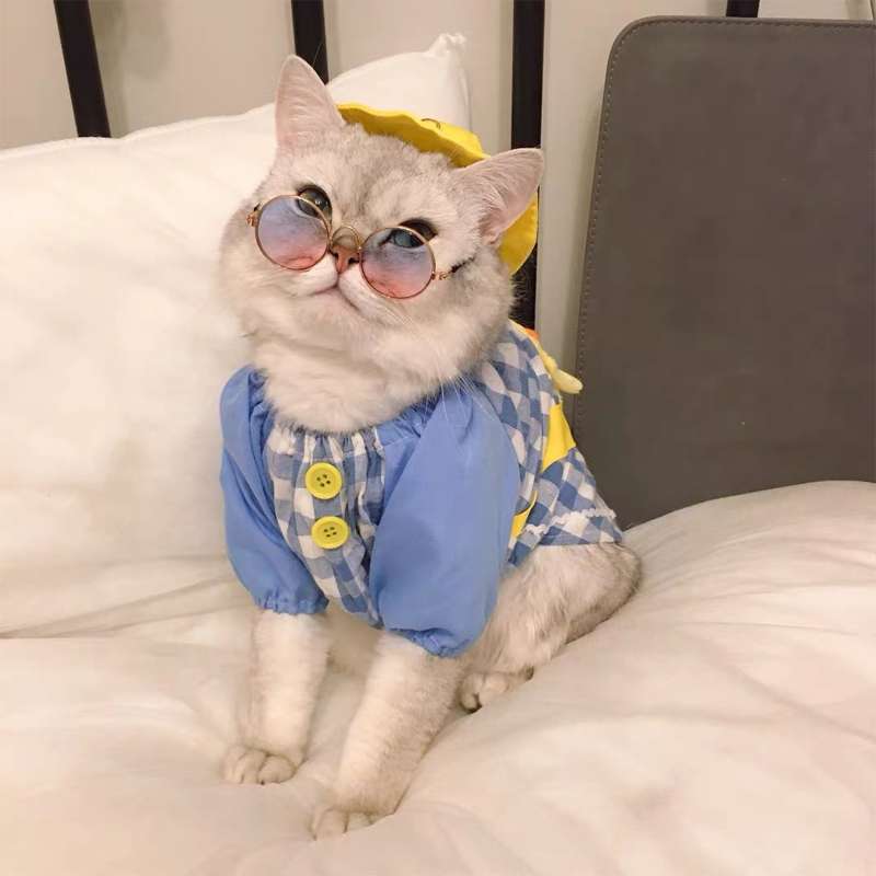 猫服  洋服 | 猫用チェック柄オーバーオール