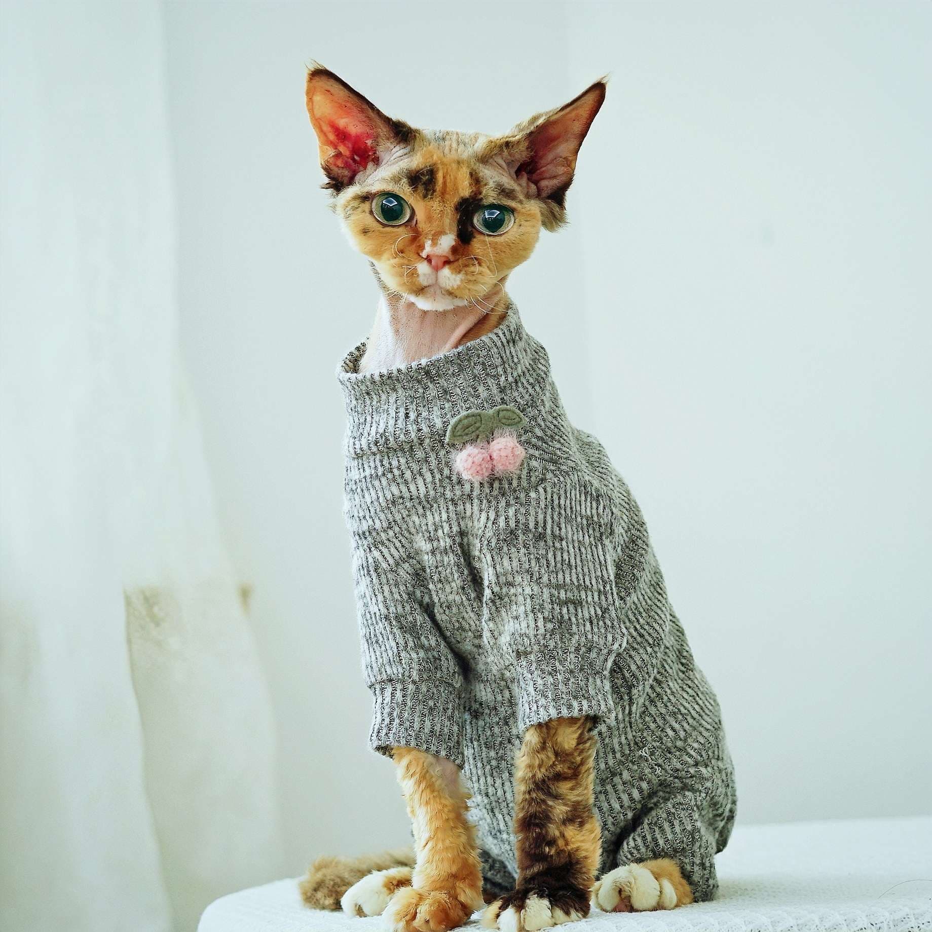 猫服  防寒服 | もこもこ温か ニットロンパース