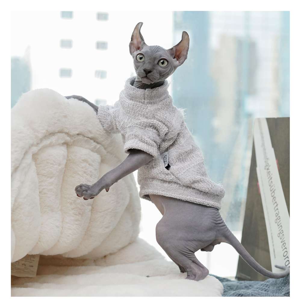 猫服  スフィンクス | もこもこシャツで暖かスフィンクス