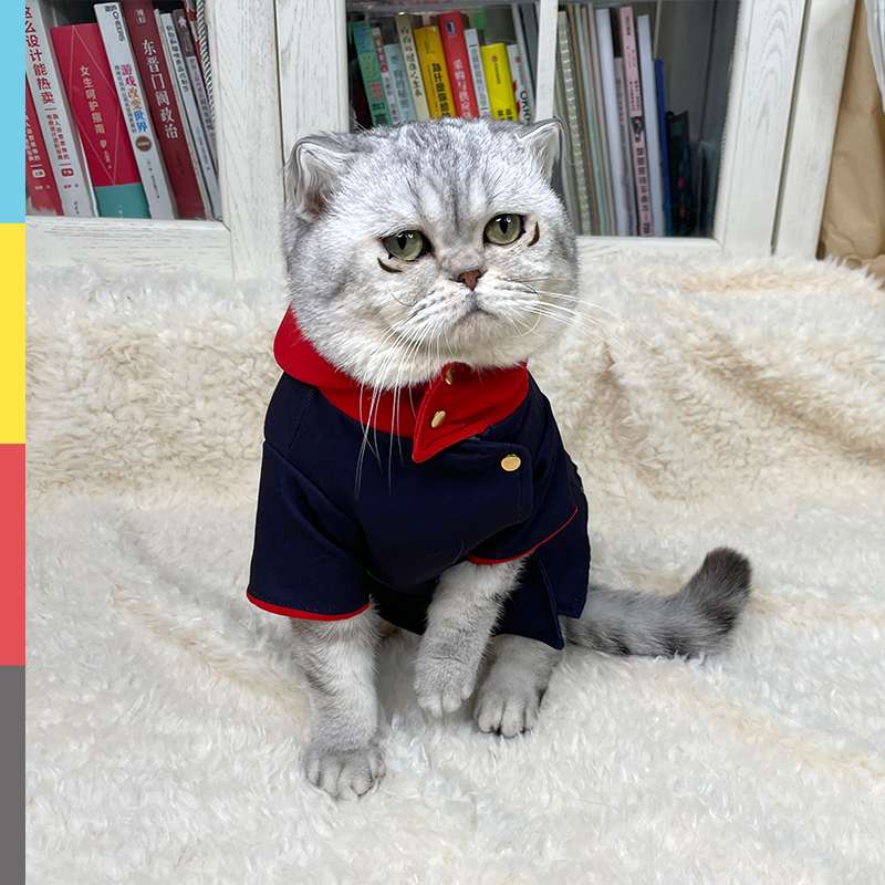 猫服  コスプレ | 愛猫のための海軍風制服コスプレ