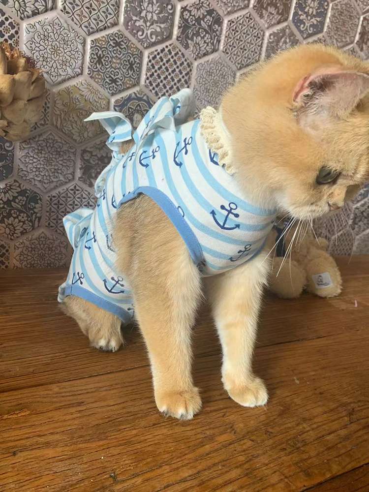 猫服  洋服 | ふんわりセーラー猫ウェア
