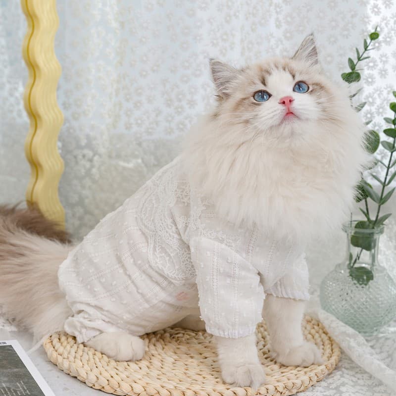 猫服  洋服 | お姫様風フリルオーバーオール