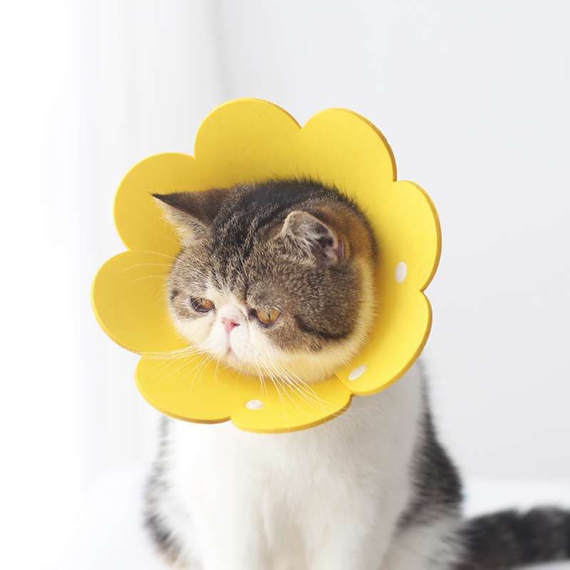 猫服 猫 エリザベスカラー | 花びら型ペット用エリザベスカラー
