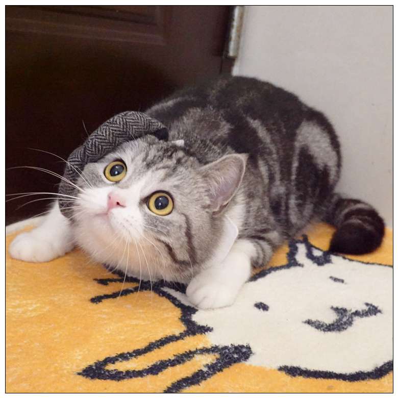 猫服  コスプレ | ビジネス猫のネクタイと帽子セット