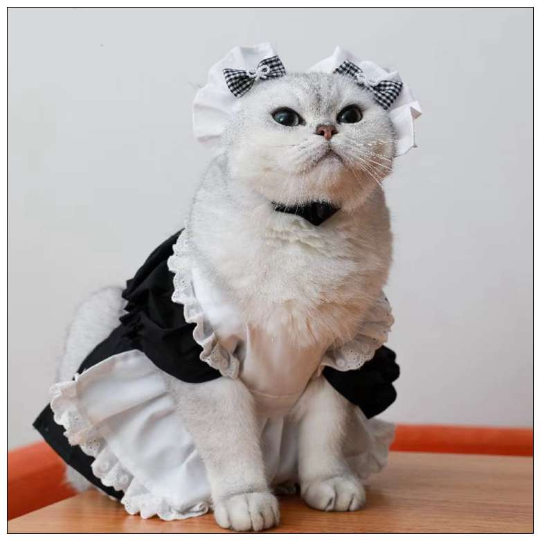 猫服  コスプレ | メイド風フリルドレス猫用コスチューム