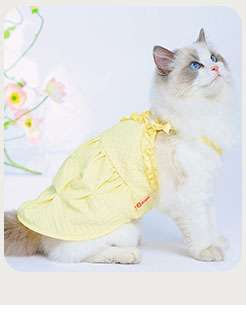 猫服  洋服 | カラフル文字柄メッシュキャットウェア