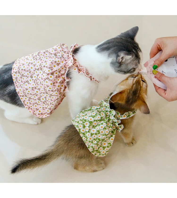 猫服  洋服 | 洋服 | お花畑のふんわりワンピース