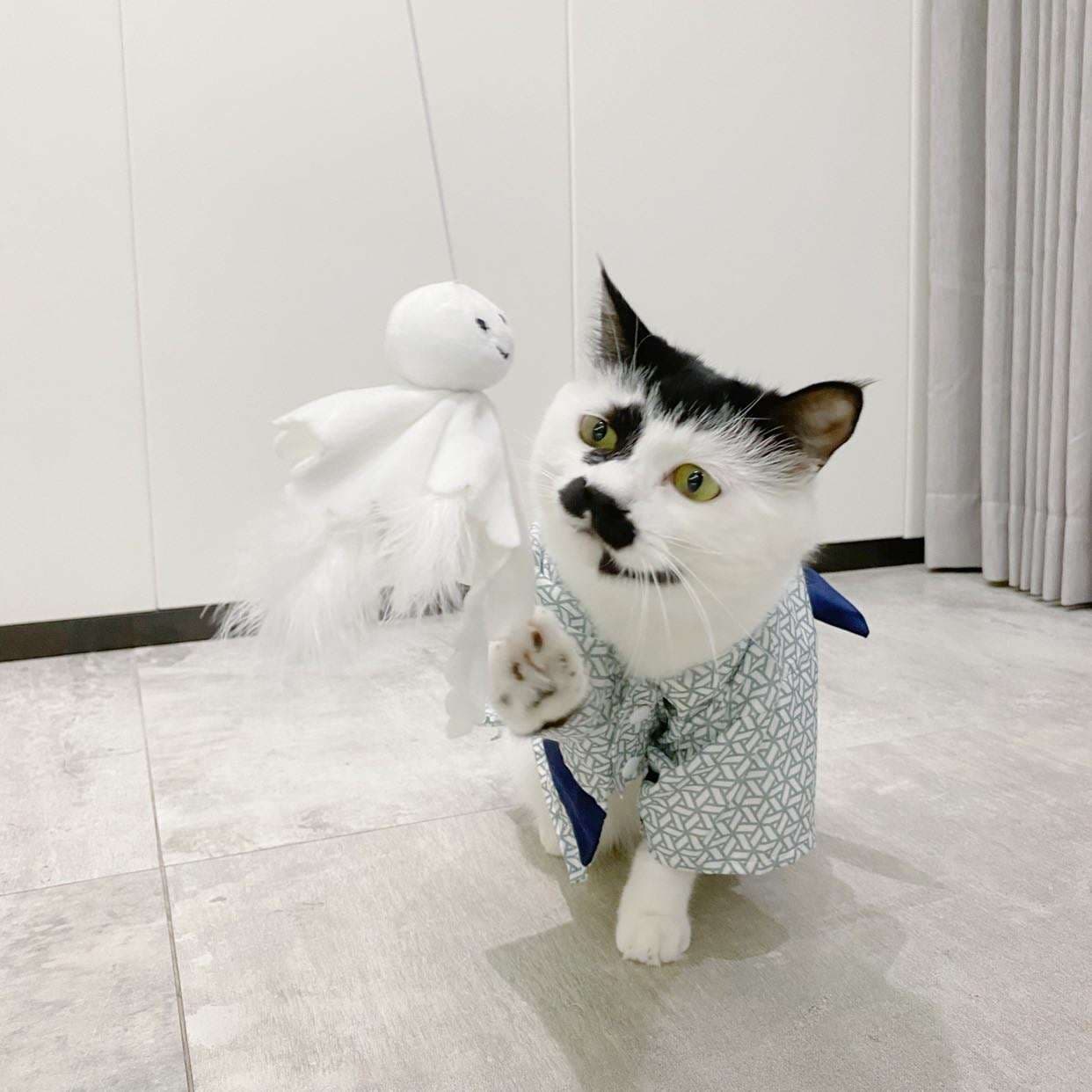 猫服  コスプレ | 和風猫用浴衣