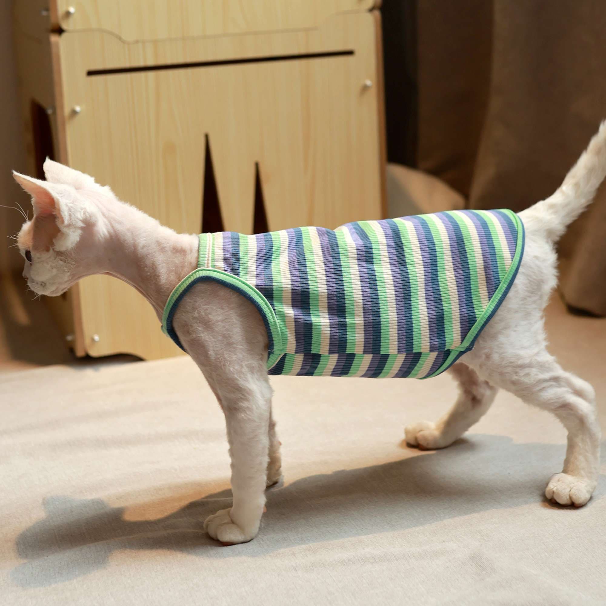 猫服  洋服 | ねこちゃん用ボーダー柄タンクトップ
