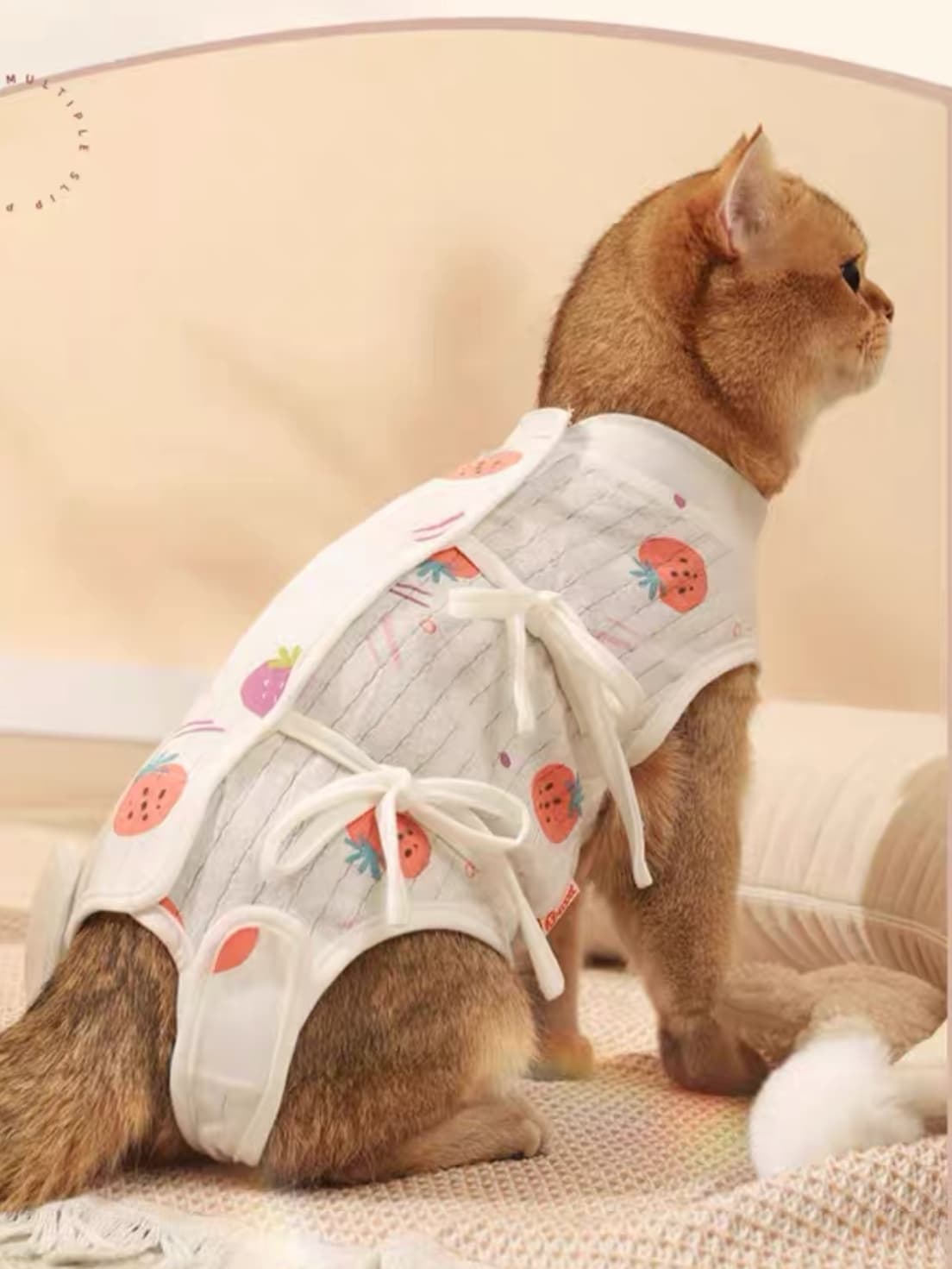 猫服   やさしい果実柄の術後服