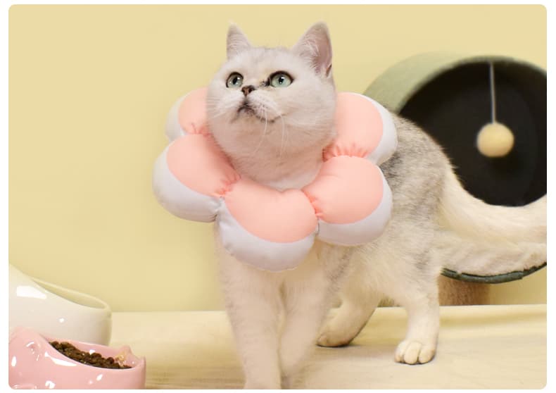 猫服 猫 エリザベスカラー | お花の形の癒やしカラー