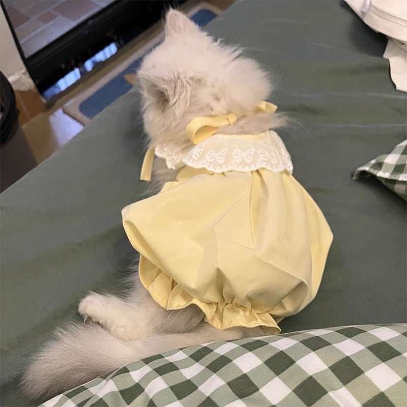 猫服  洋服 | ふわもこ猫ちゃん用レース付きワンピース