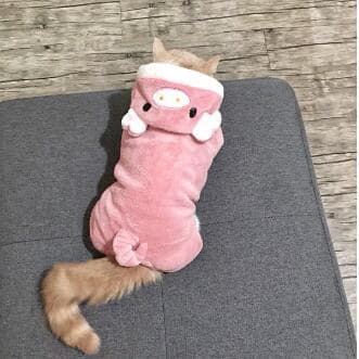 猫服 秋冬ぶた顔洋服 猫ちゃん用可愛いトレーナー