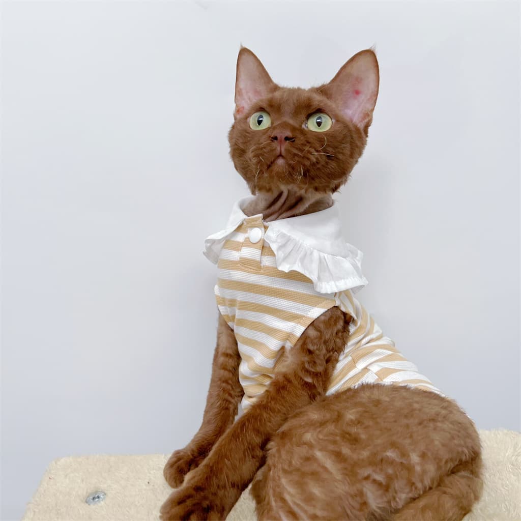 猫服  洋服 | ふんわりフリル付き縞模様ワンピース