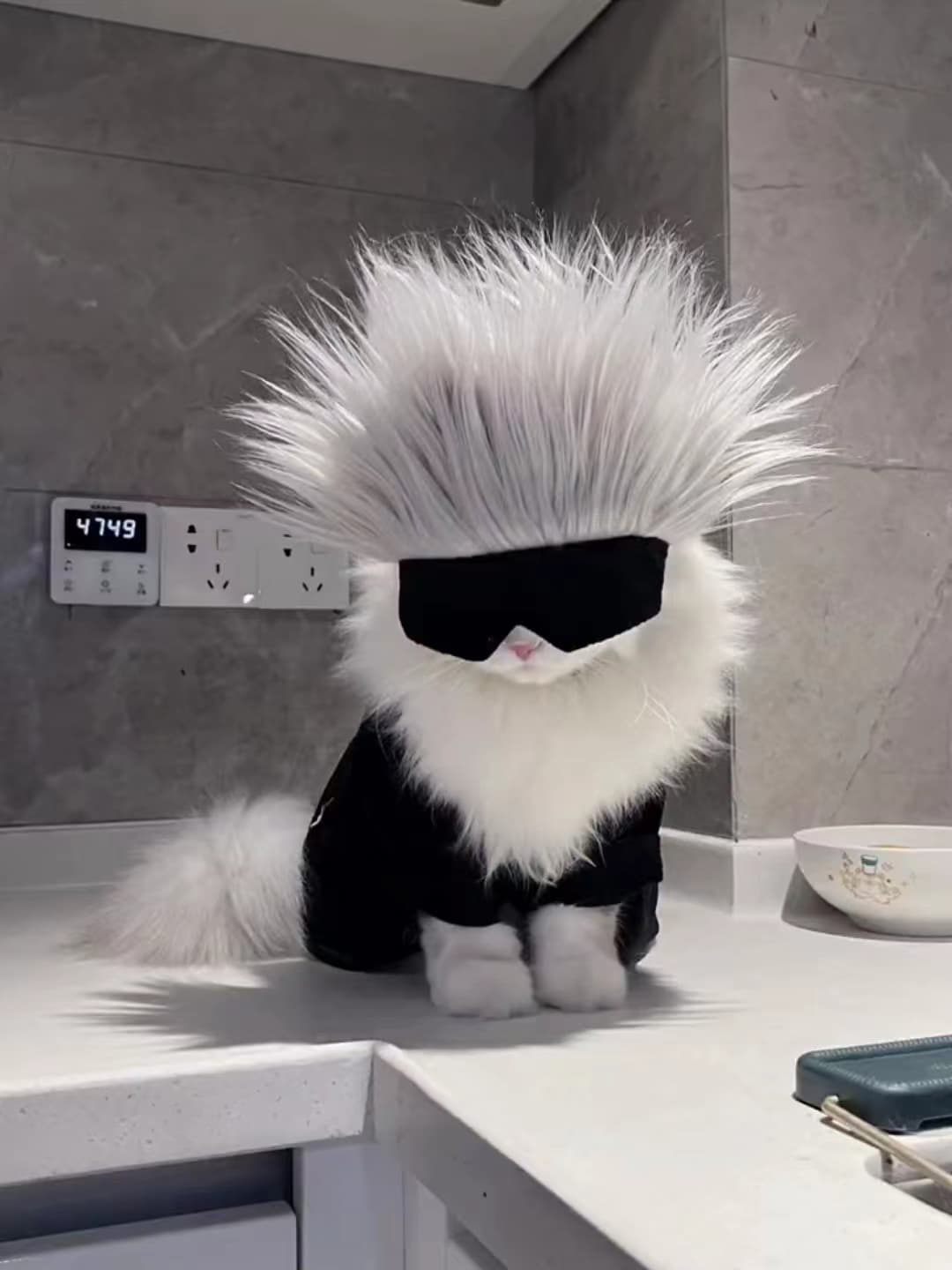 猫服  未来型サングラス忍者セット