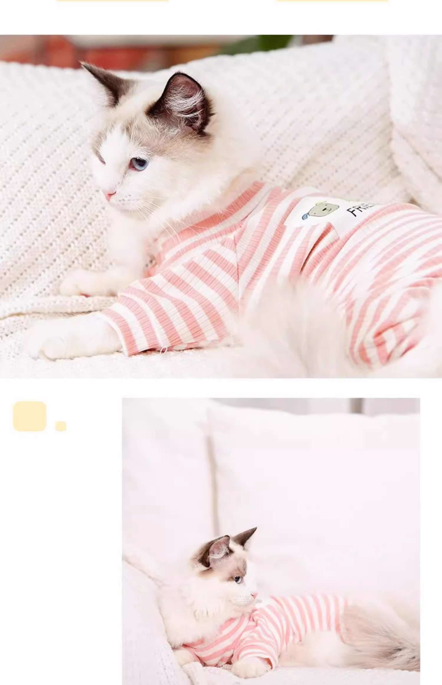 猫服  防寒服 | もふもふ猫ちゃんの冬支度ウェア