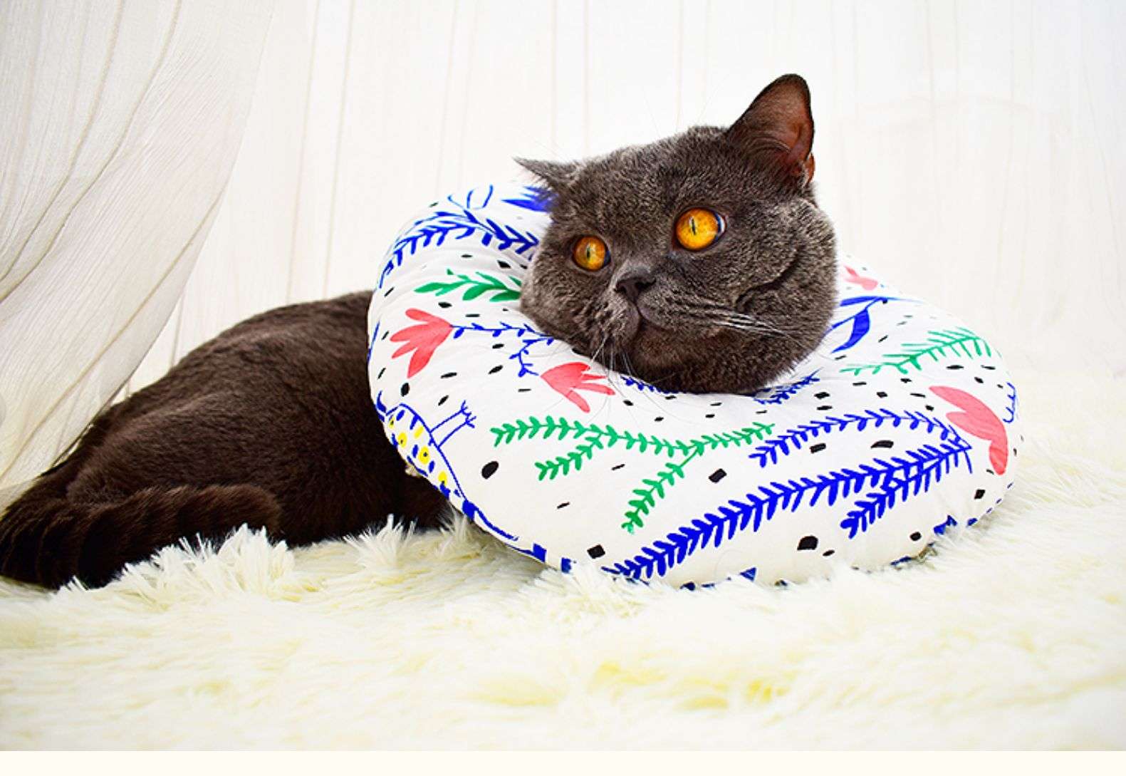 猫服 猫 エリザベスカラー | ふわもこペット用プリントエリザベスカラー