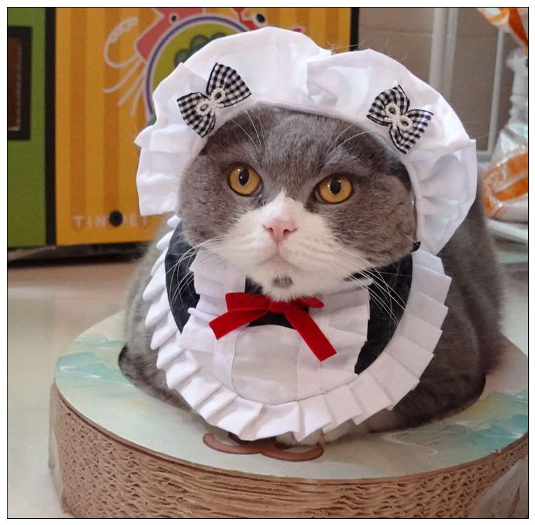 猫服  コスプレ | メイド風フリルエプロン猫用コスチューム