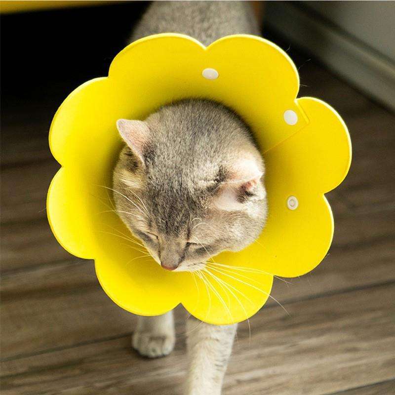 猫服 猫 エリザベスカラー | 花咲く猫のエリザベスカラー