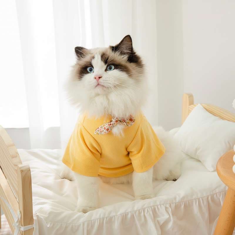 猫服  洋服 | ふわもこ猫ちゃんの季節のお洒落トップス