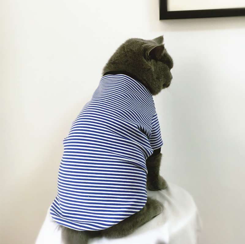 猫服 猫用マリン風ボーダー長袖シャツ