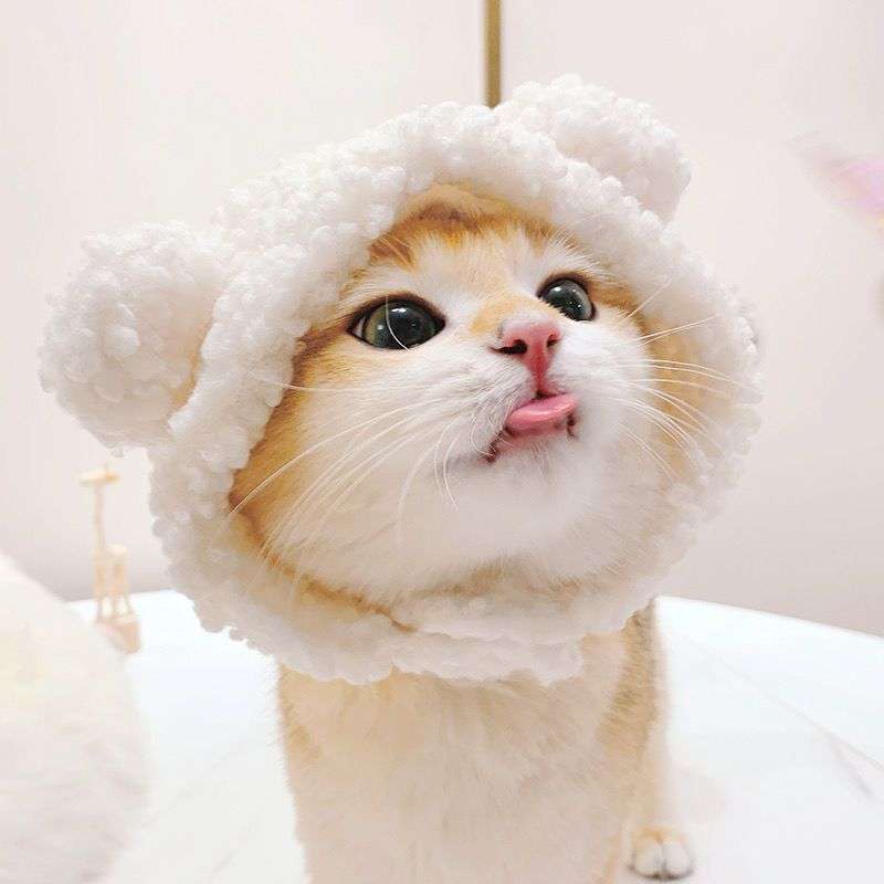 猫服  帽子 | もふもふ耳付き猫ちゃん帽子
