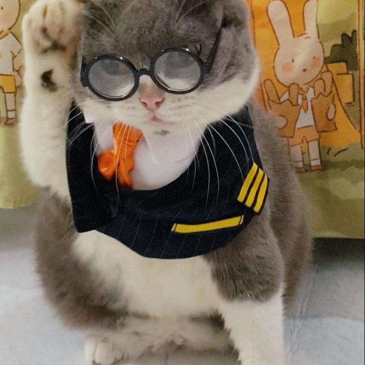 猫服  コスプレ | 猫用パイロット制服コスプレセット